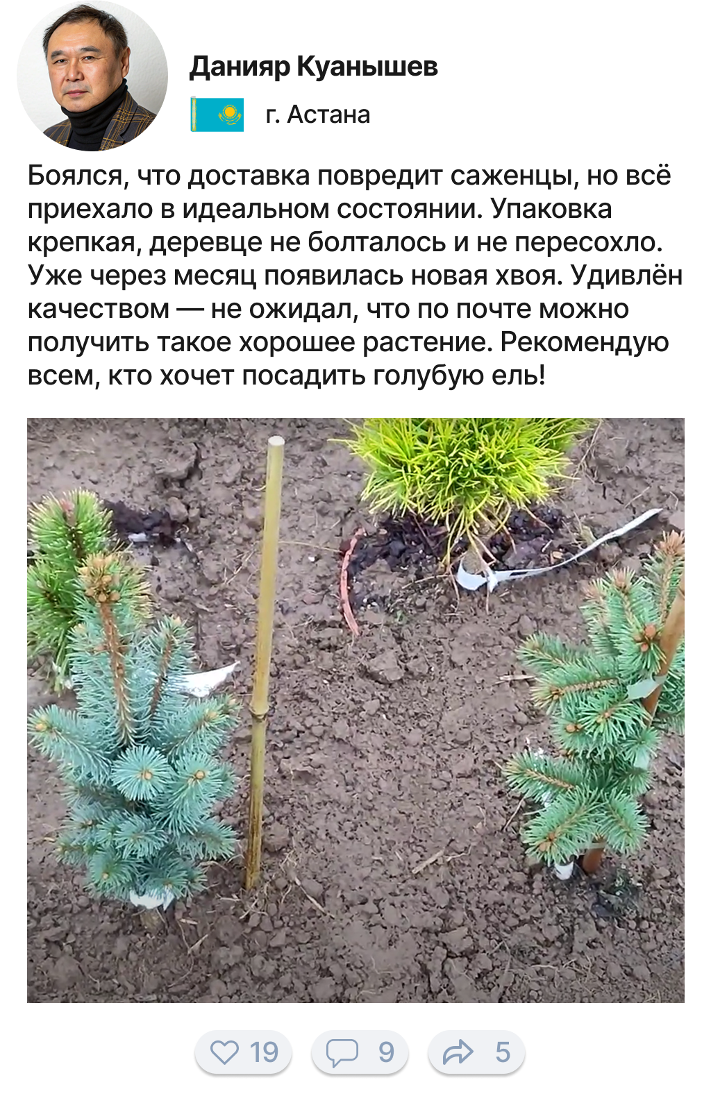 Image title