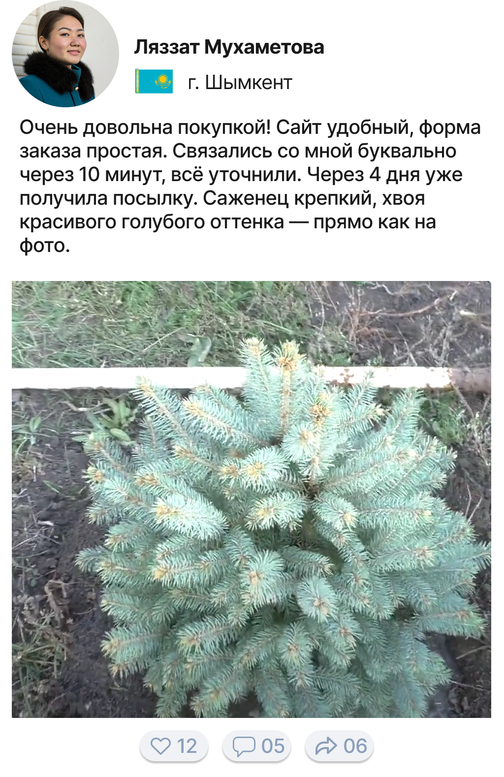 Image title
