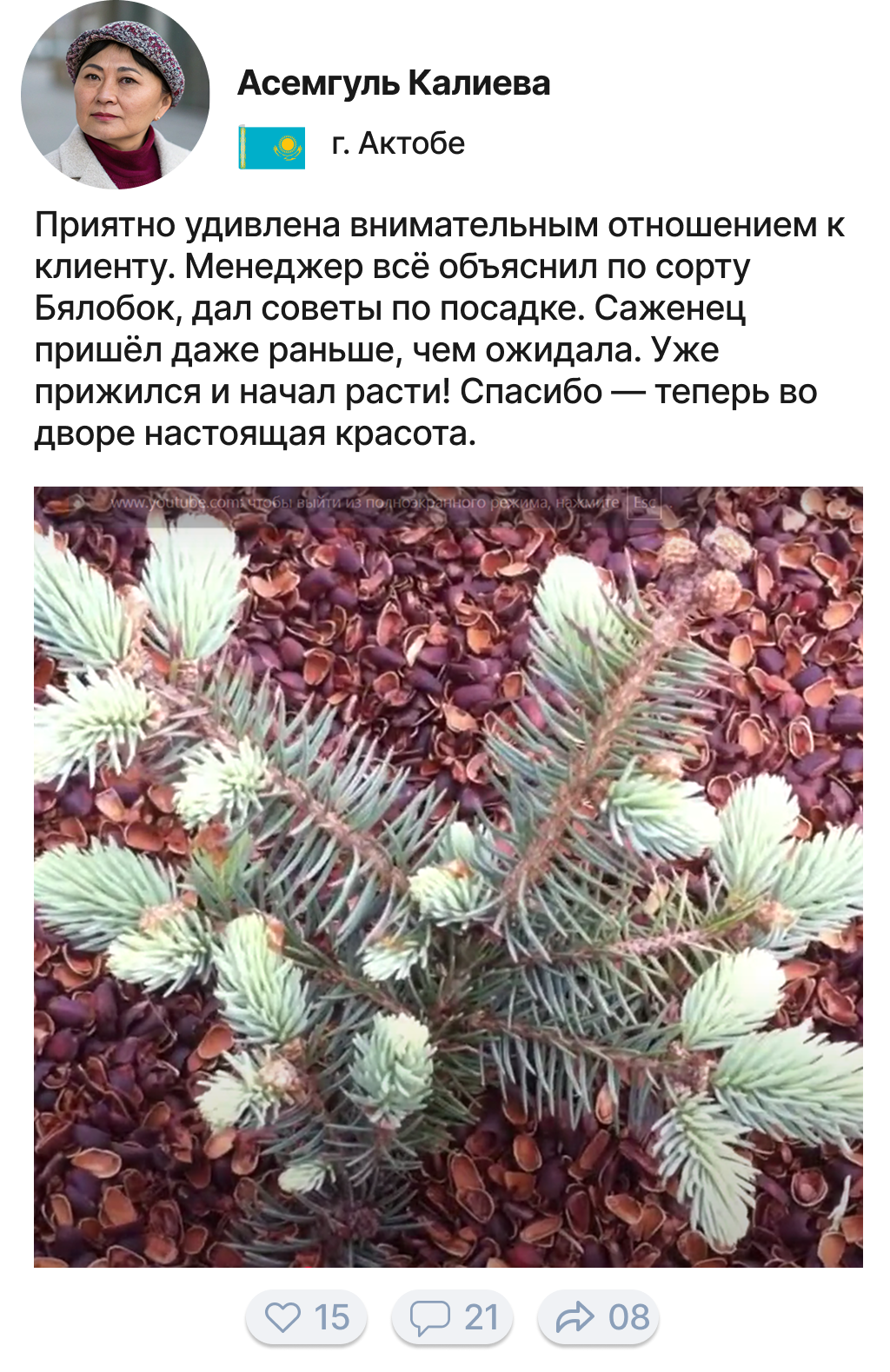 Image title