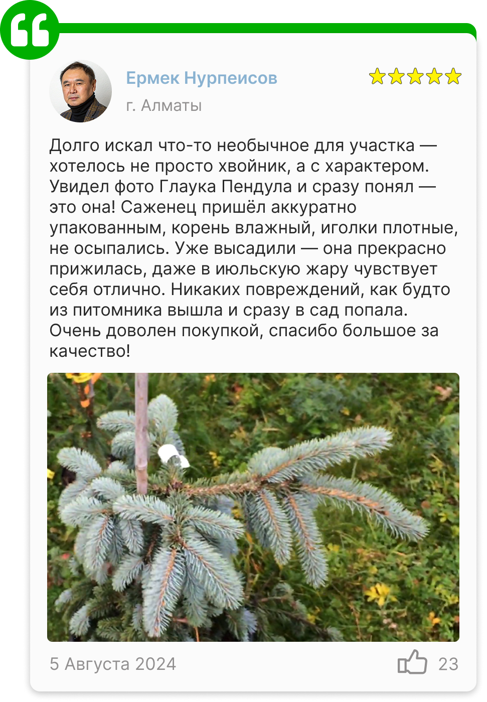 Image title