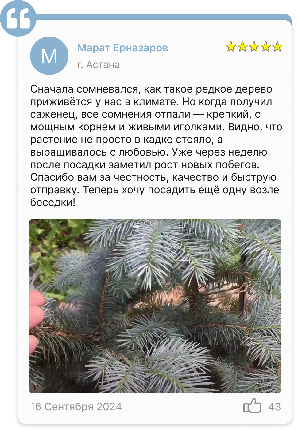 Image title